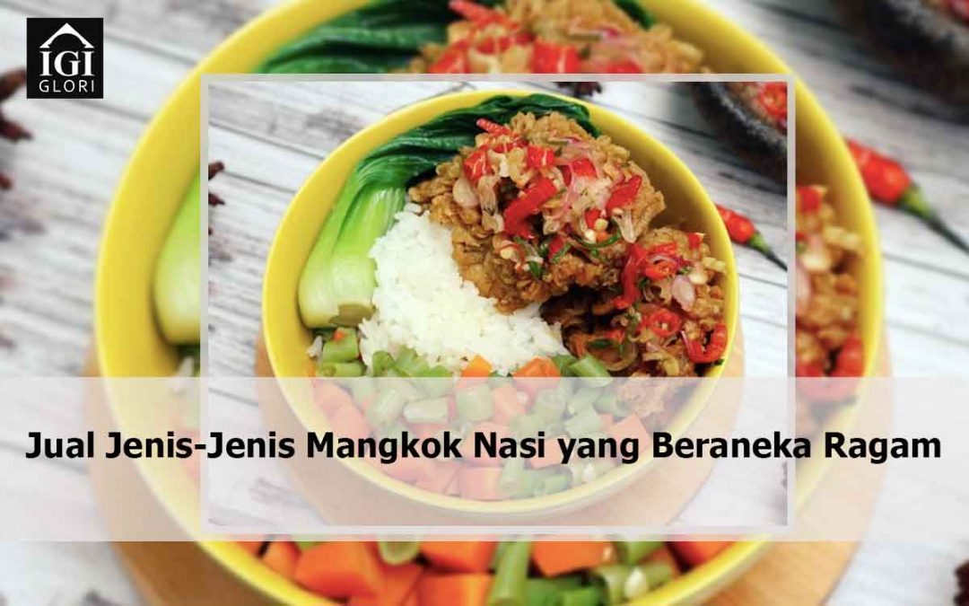 Jual Jenis-Jenis Mangkok Nasi yang Beraneka Ragam Jenis
