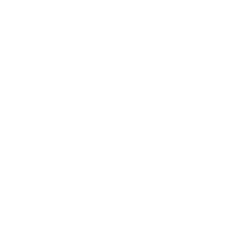 logo vulcan