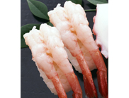 Udang